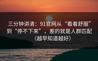 三分钟讲清：91官网从“看着舒服”到“停不下来”，差的就是人群匹配（越早知道越好）