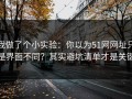 我做了个小实验：你以为51网网址只是界面不同？其实避坑清单才是关键