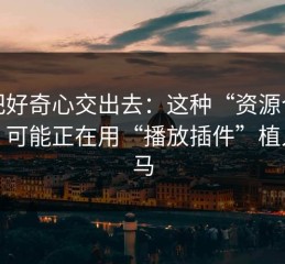 别把好奇心交出去：这种“资源合集页”可能正在用“播放插件”植入木马