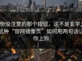 你没注意的那个按钮，这不是玄学：这种“官网镜像页”如何用两句话让你上钩