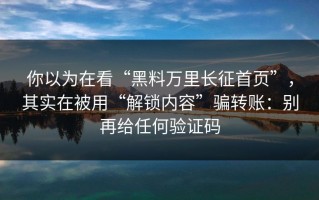 你以为在看“黑料万里长征首页”，其实在被用“解锁内容”骗转账：别再给任何验证码