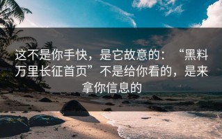这不是你手快，是它故意的：“黑料万里长征首页”不是给你看的，是来拿你信息的