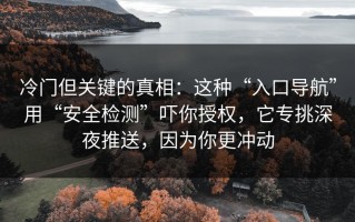 冷门但关键的真相：这种“入口导航”用“安全检测”吓你授权，它专挑深夜推送，因为你更冲动