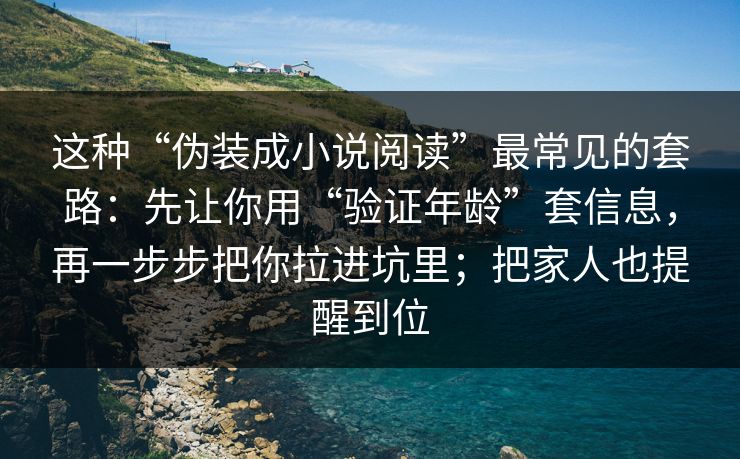 这种“伪装成小说阅读”最常见的套路：先让你用“验证年龄”套信息，再一步步把你拉进坑里；把家人也提醒到位