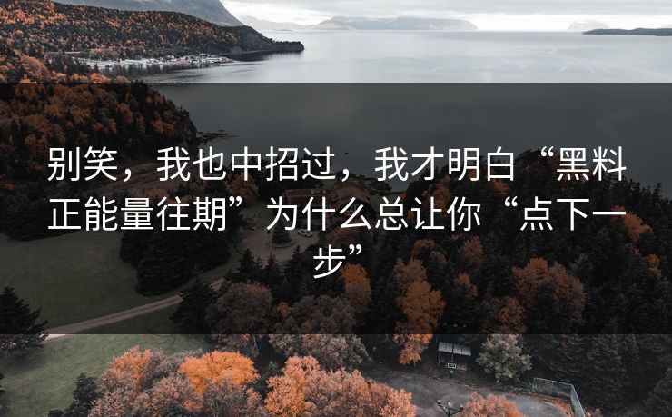 别笑，我也中招过，我才明白“黑料正能量往期”为什么总让你“点下一步”