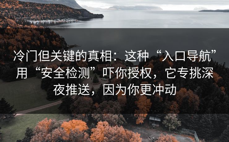 冷门但关键的真相:这种“入口导航”用“安全检测”吓你授权,它专挑深夜推送,因为你更冲动 冷门但关键的真相:这种“入口导航”用“安全检测”吓你授权,它专挑深夜推送,因为你更冲动