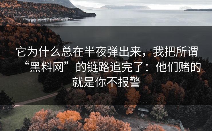 它为什么总在半夜弹出来，我把所谓“黑料网”的链路追完了：他们赌的就是你不报警